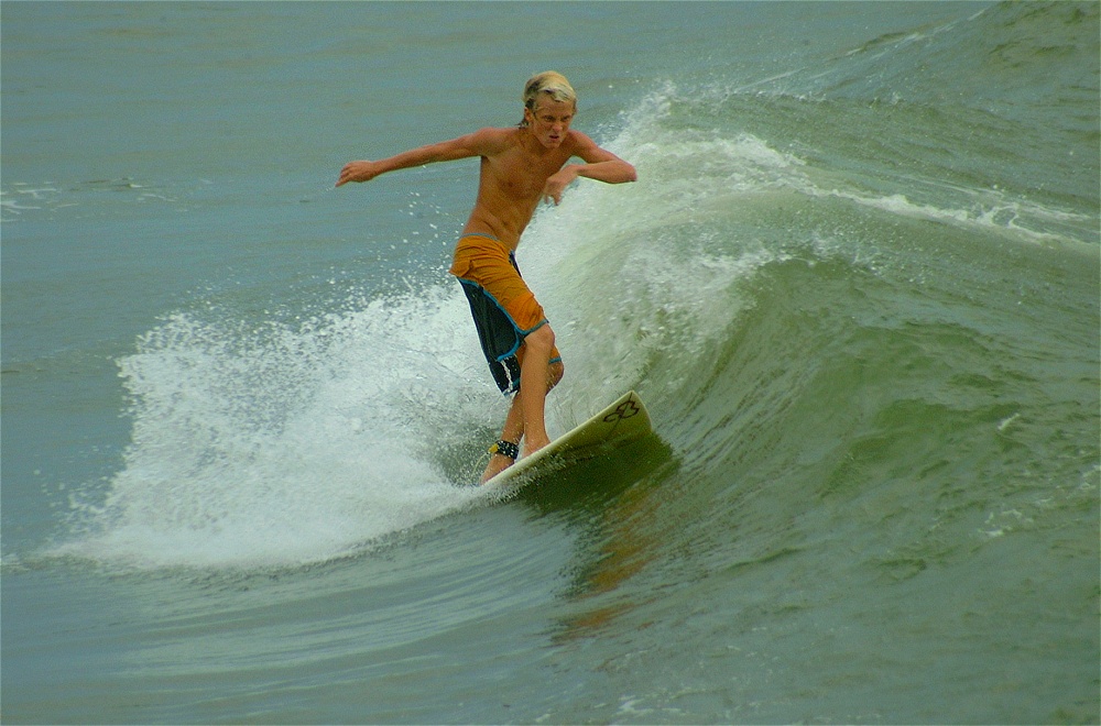 (24) Dscf3847 (bushfish - morning surf 1).jpg   (1000x660)   236 Kb                                    Click to display next picture